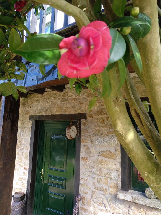 Mar Y Montana Guest House Ferrol Exterior foto